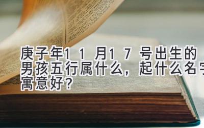  庚子年11月17号出生的男孩五行属什么，起什么名字寓意好？ 